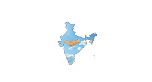 Bharat Distributed Ledger